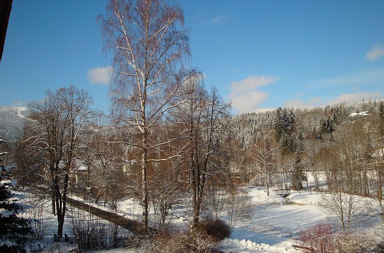 Appartement Seitz 1 in Bayerisch Eisenstein