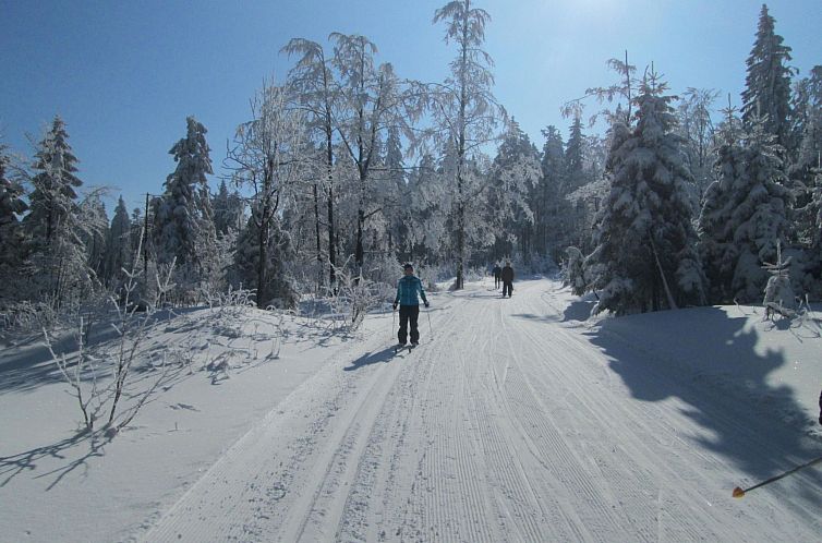 Appartement Seitz 1 in Bayerisch Eisenstein