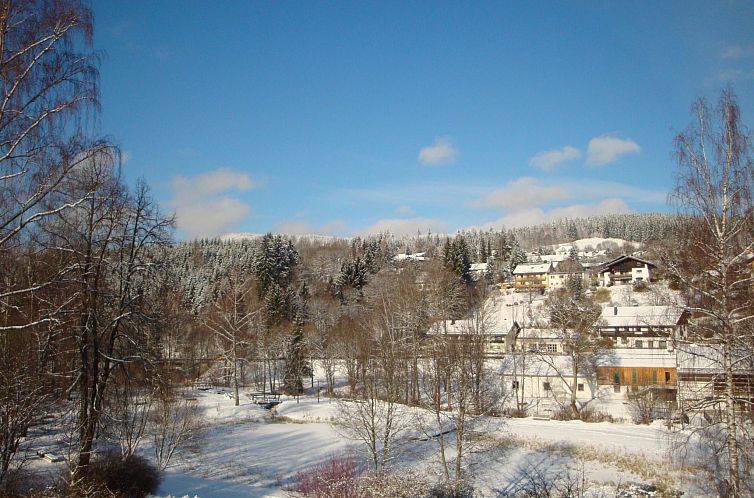 Appartement in Bayerisch Eisenstein mit Garten