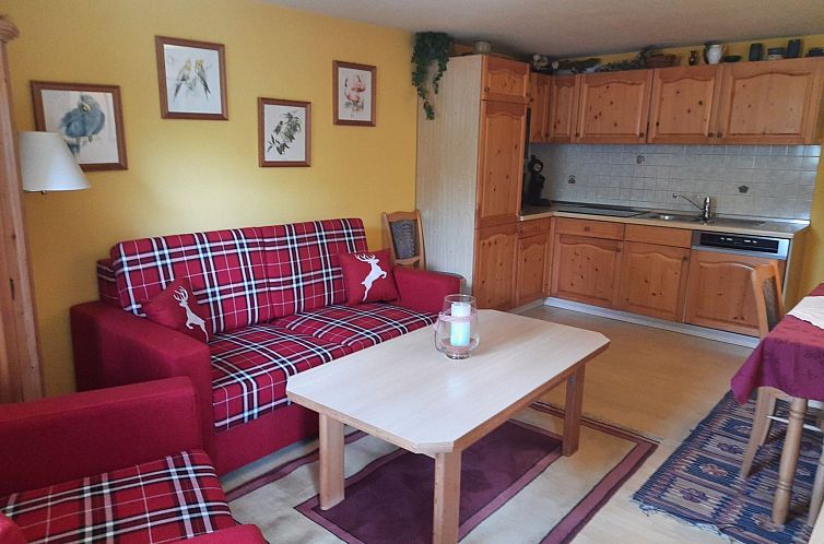 Appartement Wiesengrund in Bayerisch Eisenstein