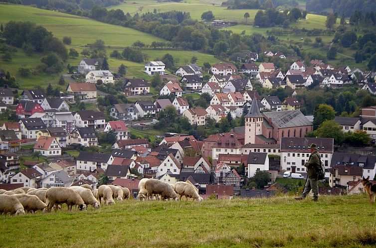 Appartement in ruhiger Lage