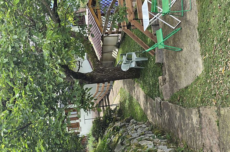Sous Les Sapins