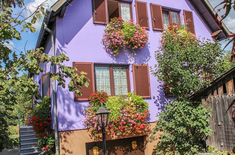 Appartement Résidence jaune et rose