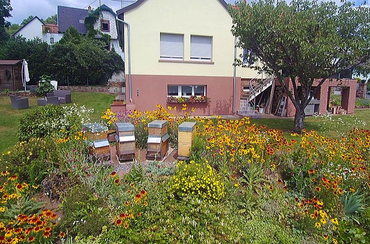 Appartement Wohnung du Coucou in Lichtenberg
