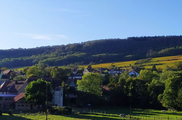 Vakantiehuis Haus in der Nähe von Straßburg mit privatem S