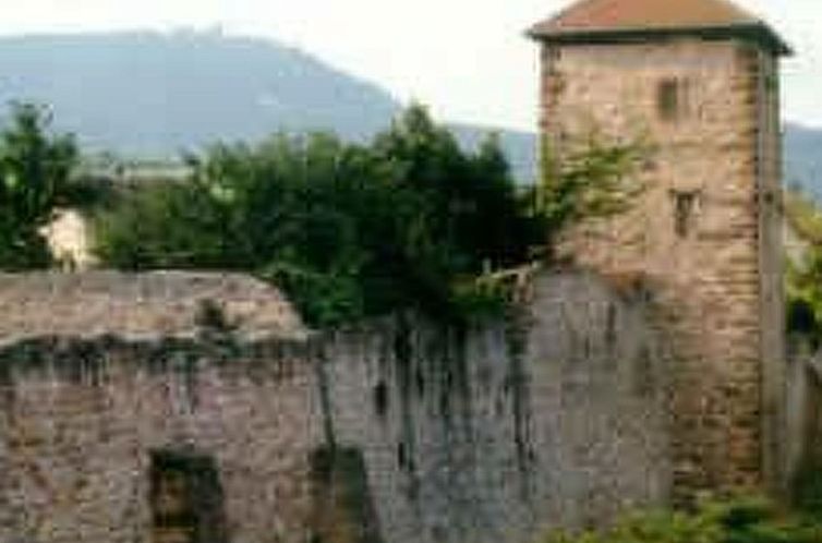 Vakantiehuis La Maison Bleue im Zentrum des Elsass in Berghe