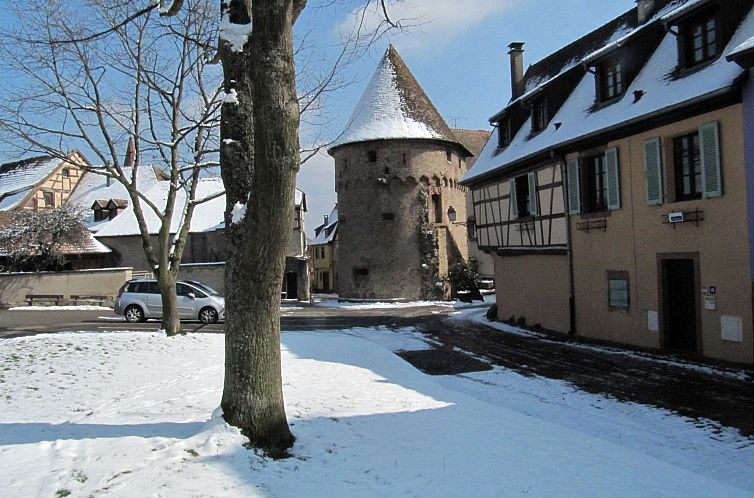 Appartement 2ed-Face Vosges,im Süden,Herz Weinberg,Ruhig,Wi