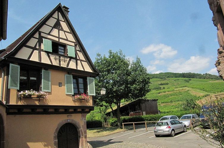 Appartement 2ed-Face Vosges,im Süden,Herz Weinberg,Ruhig,Wi