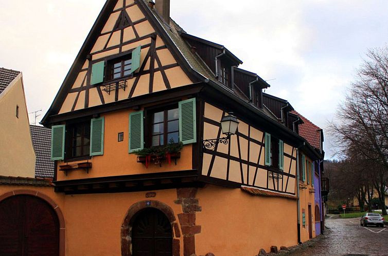 Appartement 1ed-Face Vosges,au Sud,coeur Vignoble,Calme,WiFi