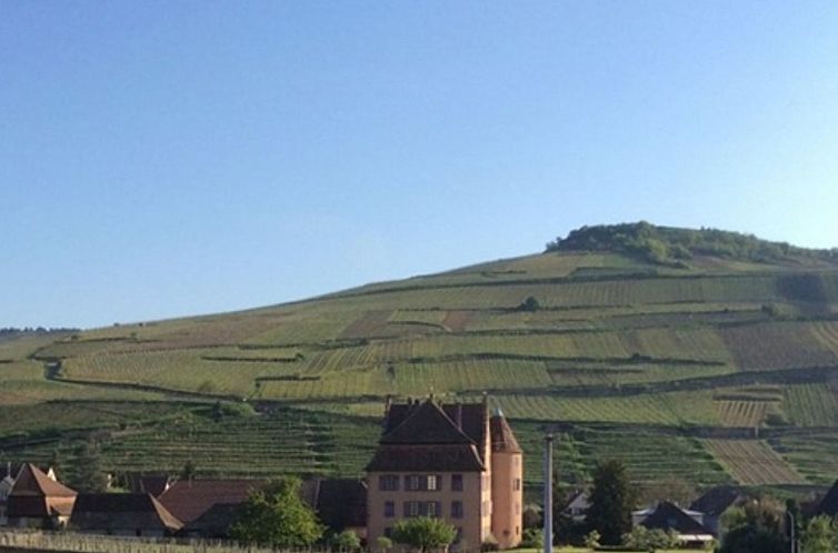 Vakantiehuis Unabhaengiges Ferienhaus in Soultzmatt mit Sonn