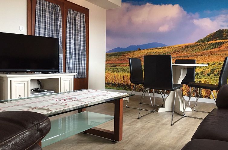 Guest house 03731301 - Apartment Alsace - Appartement Große Ferienwohnung Gite mit Terrasse