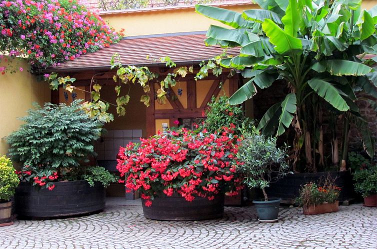 Appartement Große Ferienwohnung Gite mit Terrasse