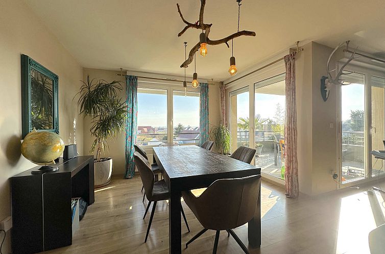 Guest house 03731317 - Apartment Alsace - Appartement in Barr