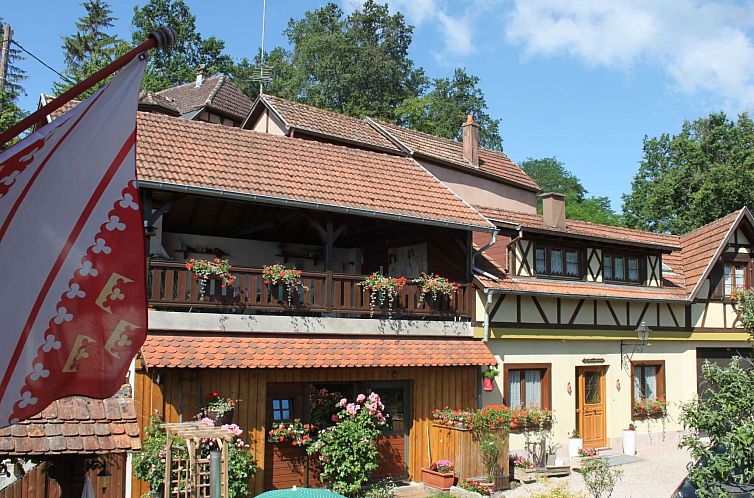 Guest house 0373304 - Holiday property Alsace - Vakantiehuis Fachwerkhaus "la maison de vacances" "
