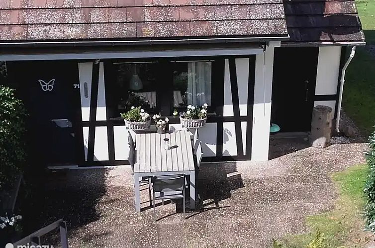 Unterkunft 0375702 - Ferienhaus Elsass - Maison Châtaignier nr.71