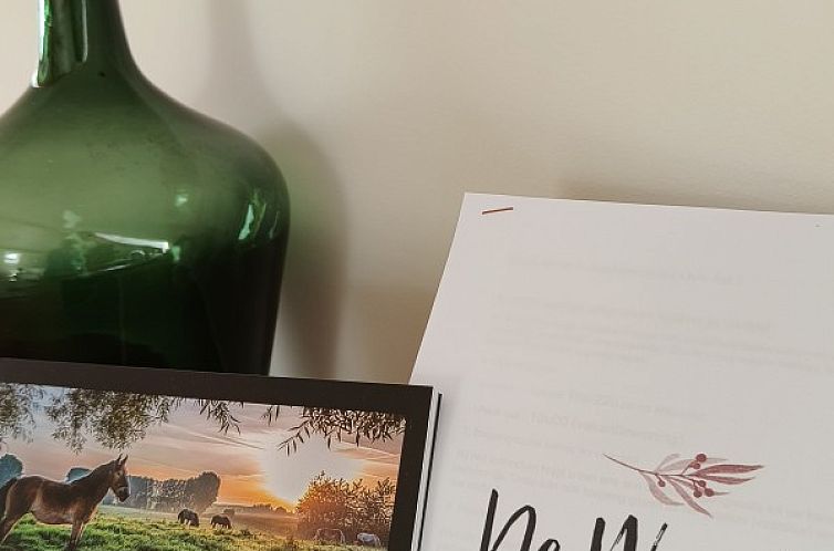 De Woestijn - vakantiewoning Den Ast