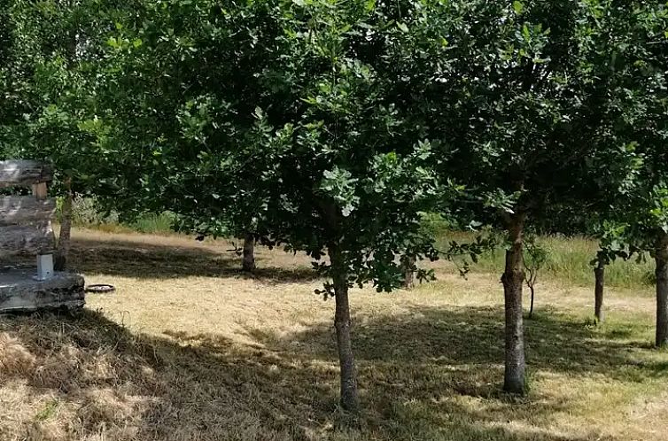 La Belle Vue, La Barrière, Durmignat