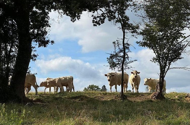Huisje in Saint Gervais d'Auvergne