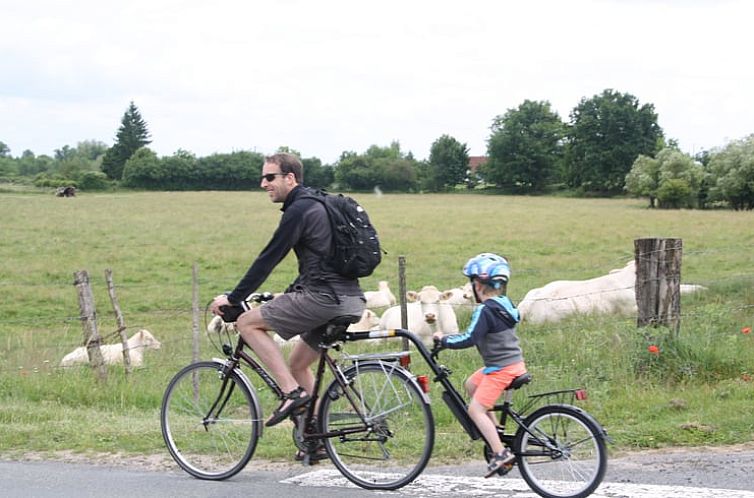 Vakantiehuisje in Gannay sur Loire