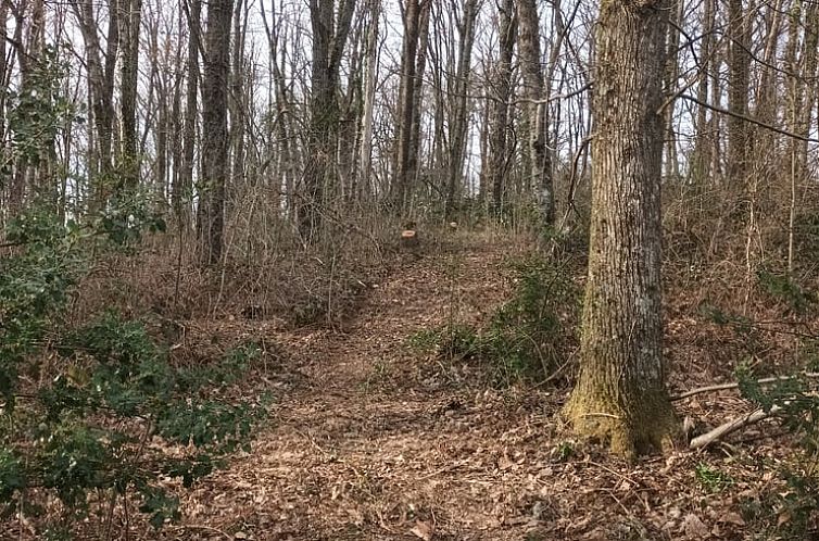 Vakantiehuisje in Virlet