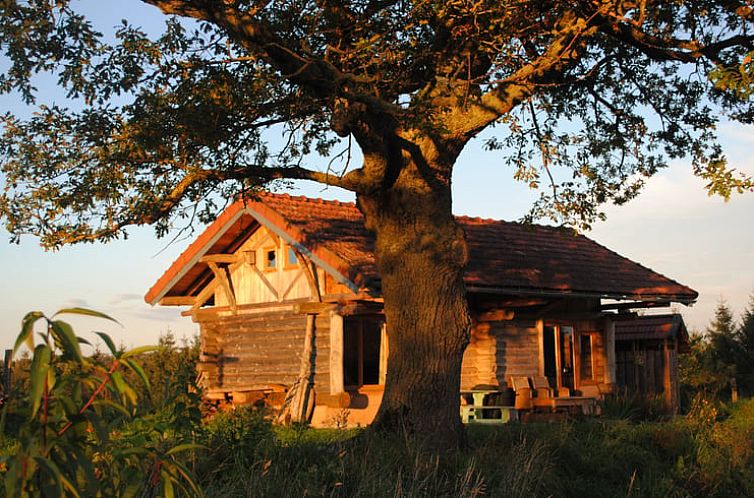 Vacation home Cottage in Vernusse, located in picturesque Auvergne, France, with a rustic feel and green surroundings.