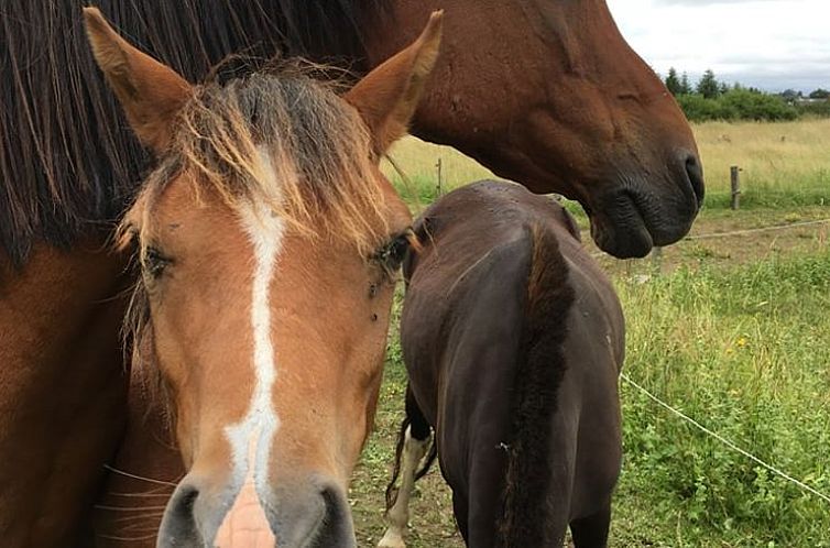 Vakantiehuis in Vernusse