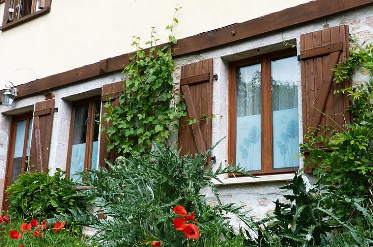 Gezellig vakantiehuis in Louroux-Bourbonnais, met authentieke houten luiken en kleurrijke tuin in het hart van Auvergne.
