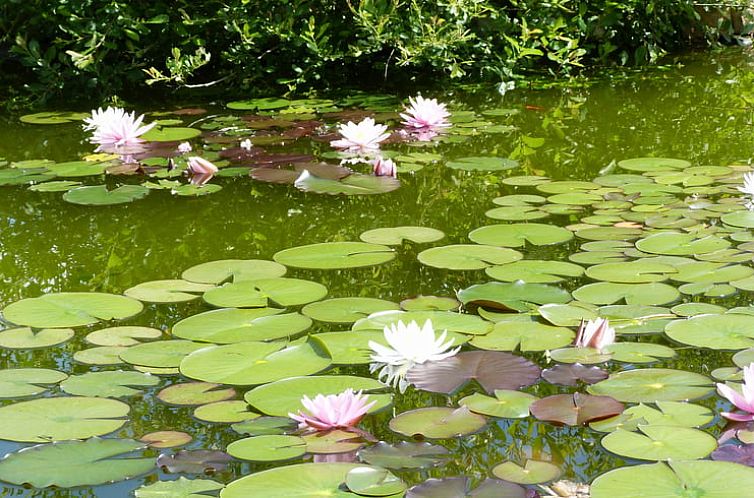 Vakantiehuis in LOUROUX BOURBONNAIS