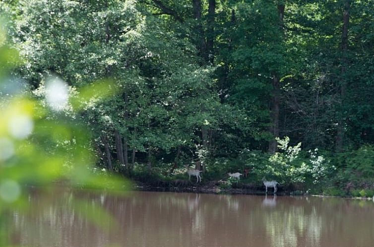 Vakantiehuisje in Ronnet