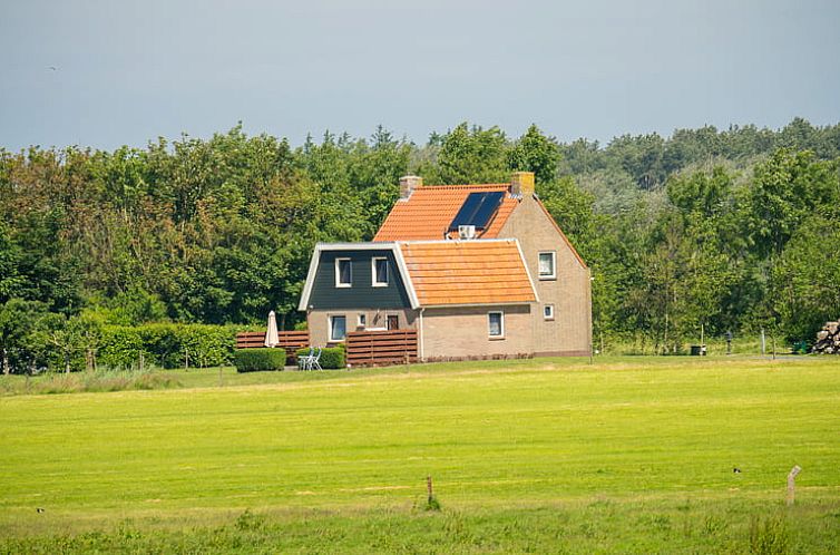 Vacation home in Ballum on Ameland, surrounded by green fields and nature.