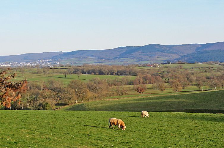 Vakantiehuis Premier gîte de Bouton