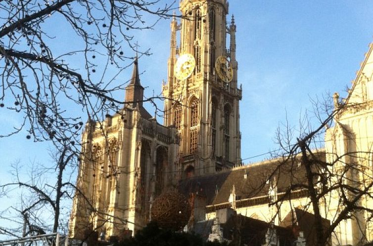 Bed and Breakfast 't Zuid