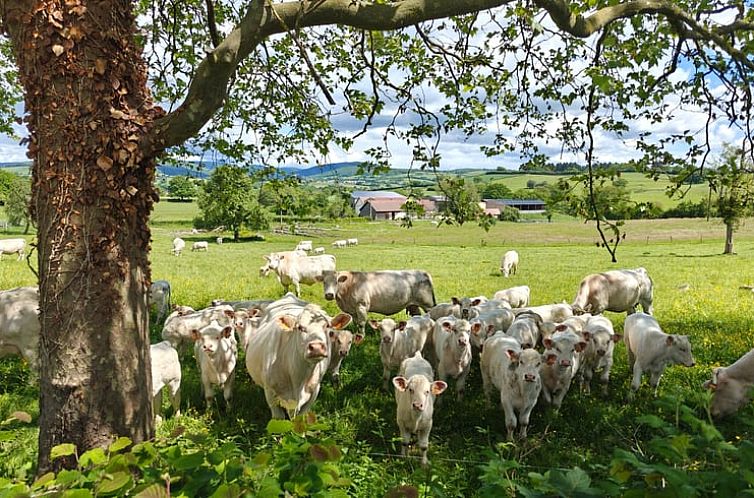 Vakantiehuis in Millay