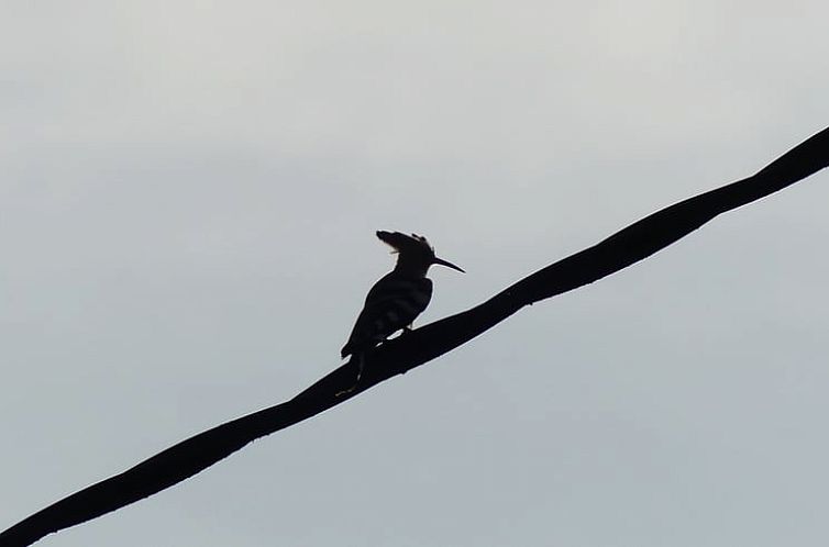 Vakantiehuis in Millay