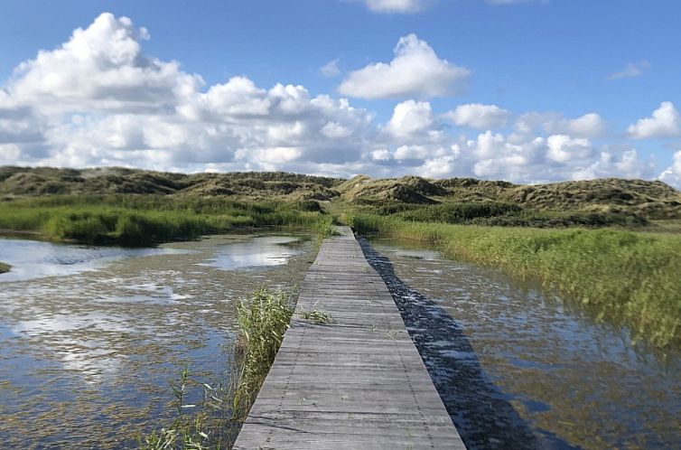 Noorderzon