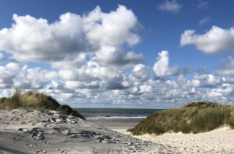 Noorderzon