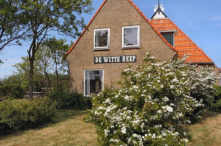 Het Woonhuis, a charming vacation home in Hollum, Ameland, surrounded by flowering shrubs and restful nature.