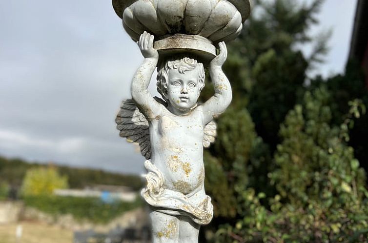 Vakantiehuis in Antully