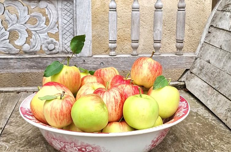 Vakantiehuis in Vitry-Laché