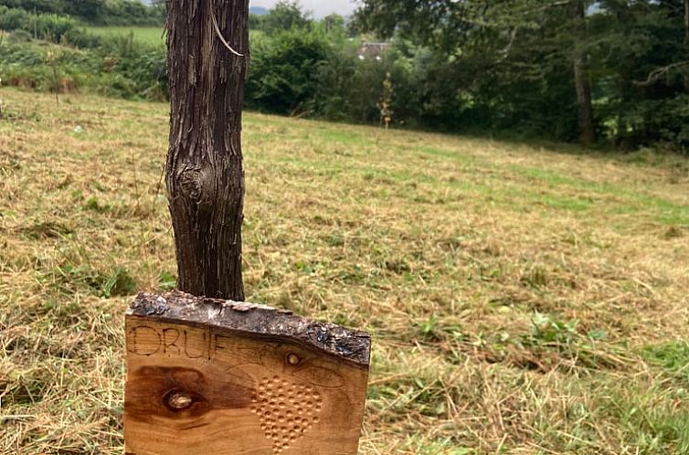 Vakantiehuisje in Chiddes