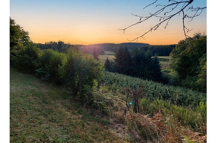 Vakantiehuis in Planchez