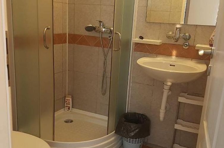 Rooms Lutra