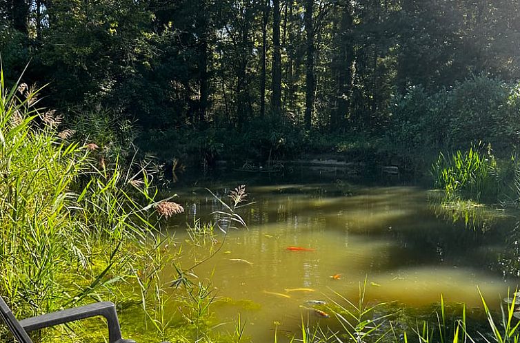 Huisje in Westmeerbeek