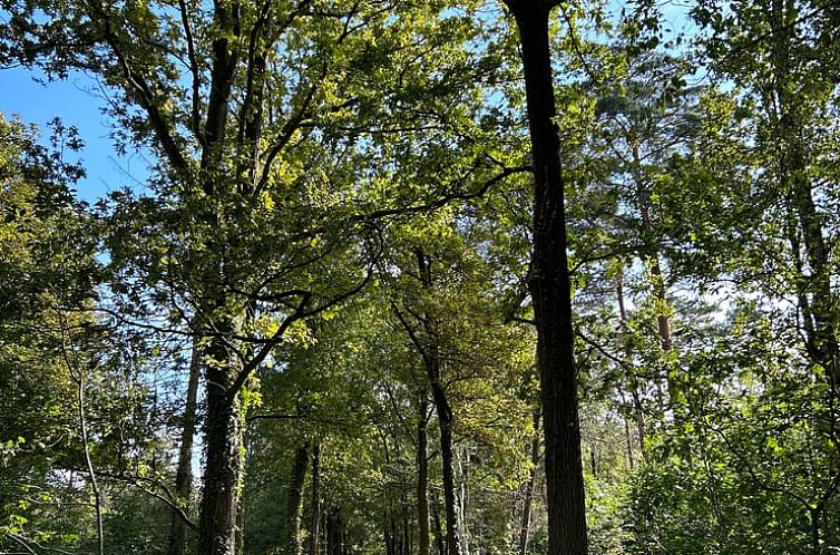 Huisje in Westmeerbeek