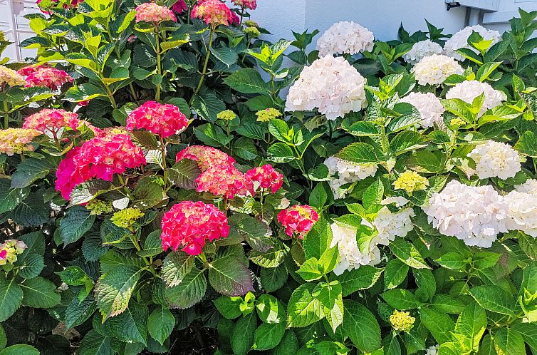 Appartement La Note Bleue