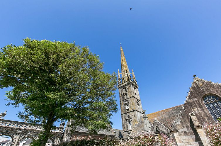 Vakantiehuis Blaue Hortensie