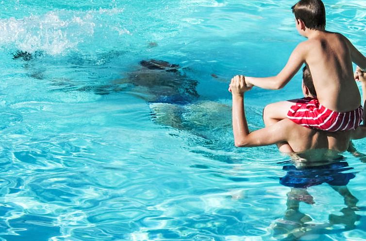 Appartement Grand Balcon, Piscine et proche du Port