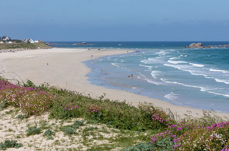 Vakantiehuis Petit Chalet à la Plage