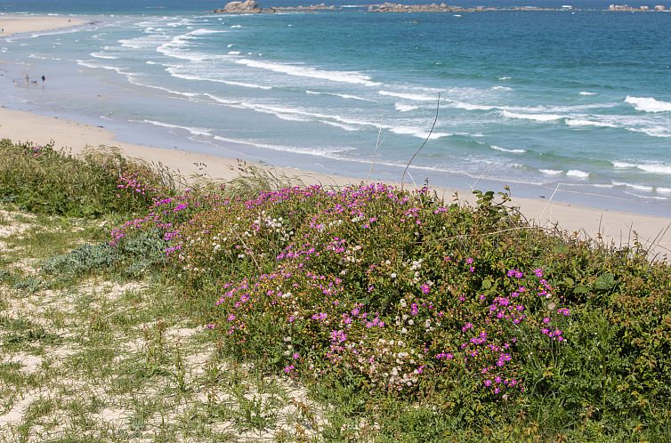 Vakantiehuis Ty Glaz