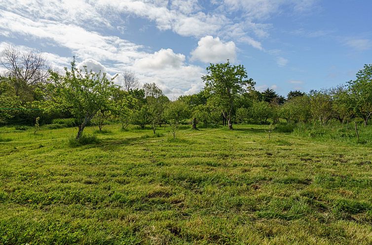 Vakantiehuis Pen Ilis
